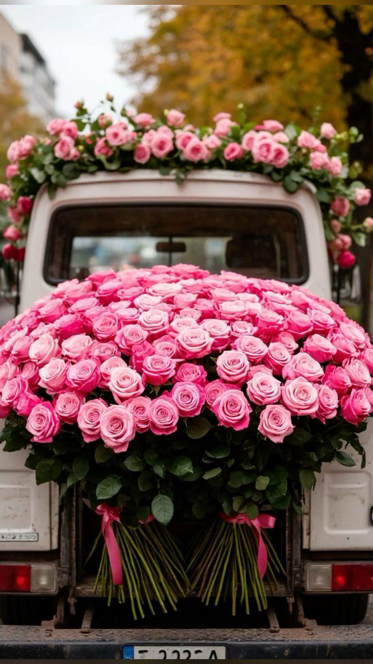 Mystic Breeze: An Exotic Fusion of Fragrant Charms