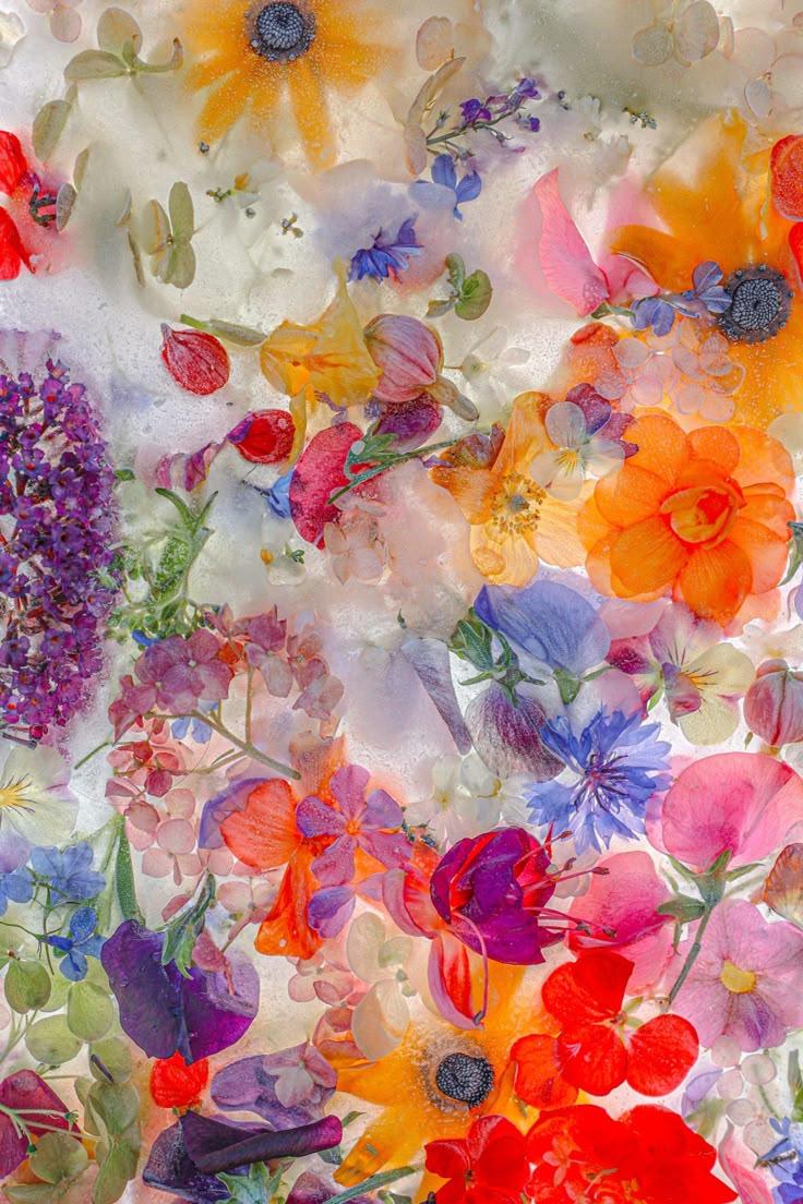 Twilight Whispers: The Romance of Dusk Petals